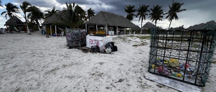 IMG_3335
