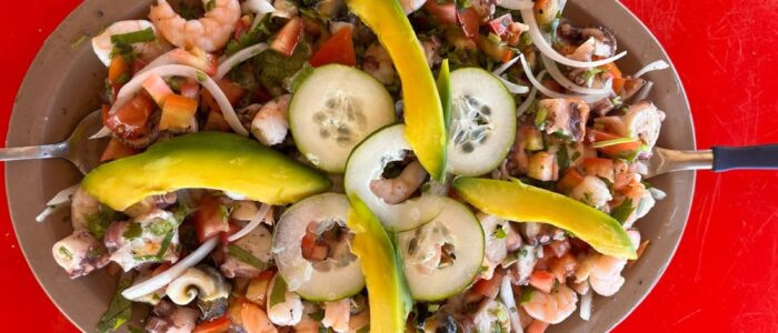 abc947bf-ffd2-4482-b03f-5fb50c194f25 (1) Ceviche mixto