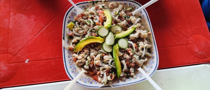 bfee59c2-136a-4a13-b1d2-580d7768c2d6 Ceviche de pulpo